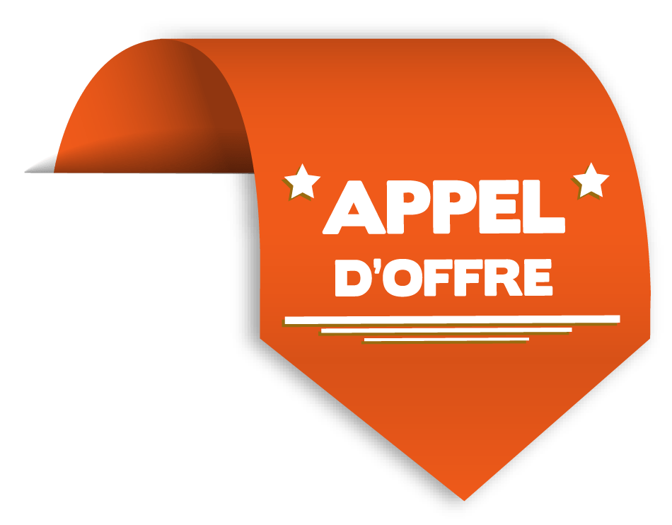 Appel d'offre | Niger Marchés