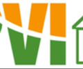 Logo PVI VF